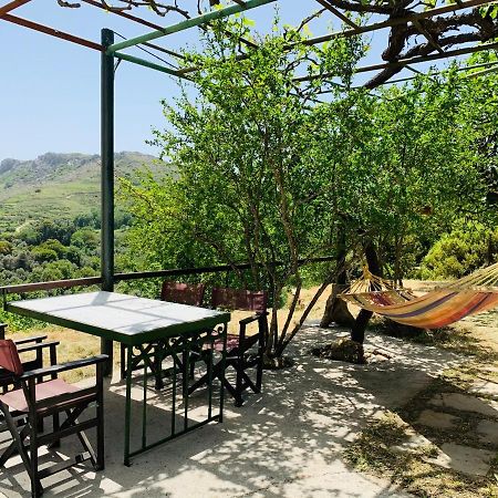 Temenia House Villa Екстериор снимка