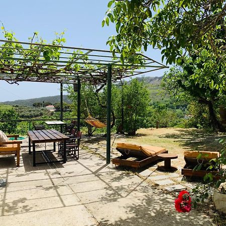 Temenia House Villa Екстериор снимка
