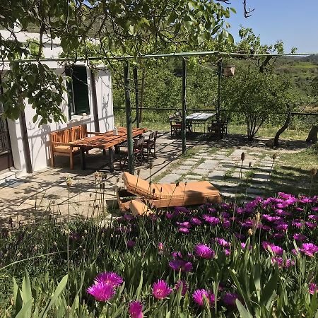 Temenia House Villa Екстериор снимка