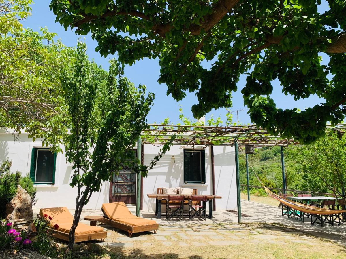 Temenia House Villa Екстериор снимка