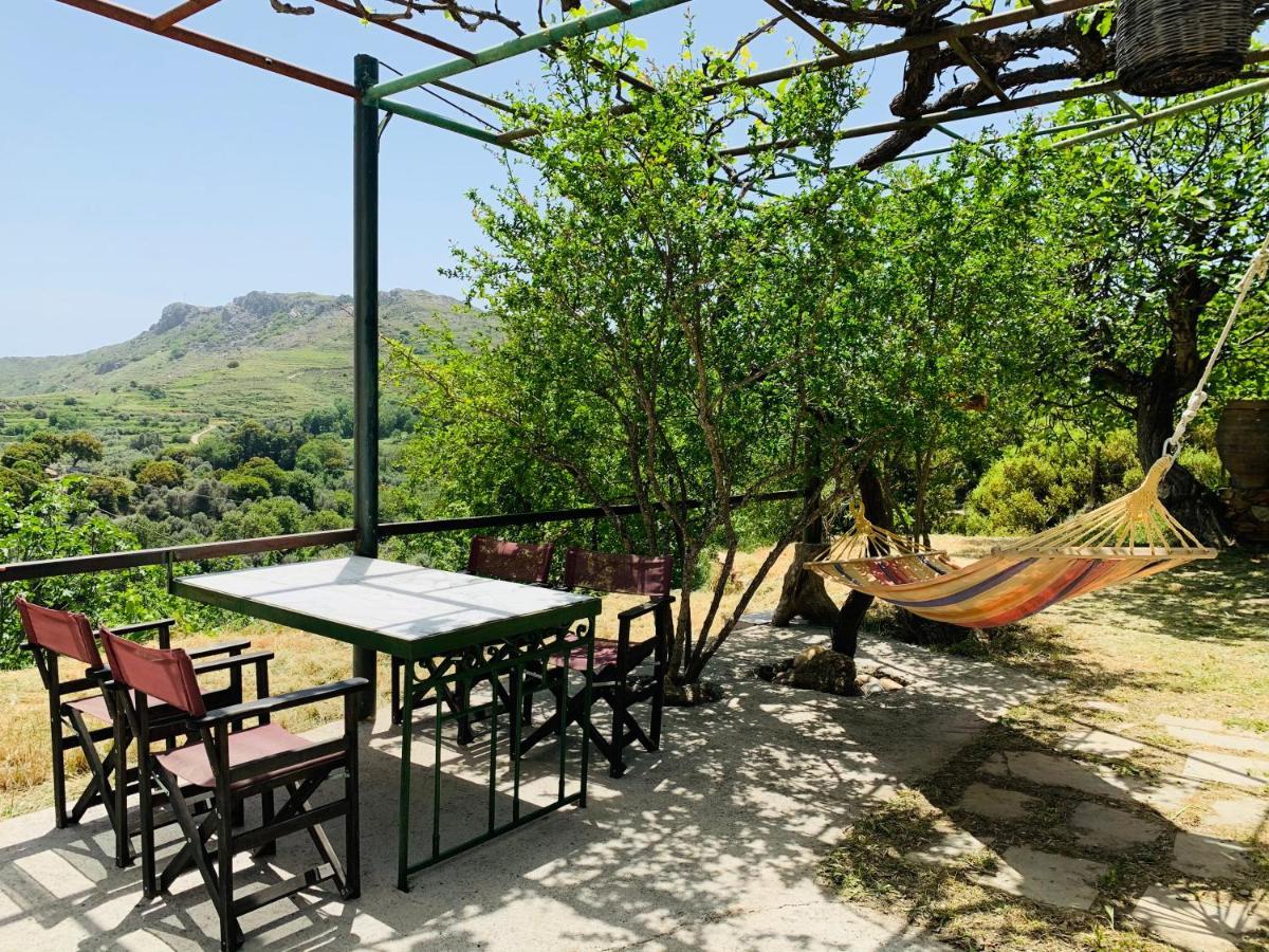 Temenia House Villa Екстериор снимка