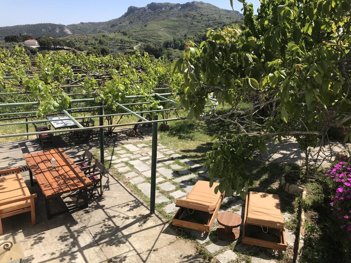 Temenia House Villa Екстериор снимка