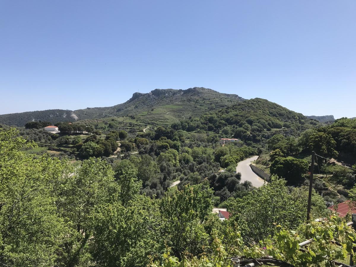 Temenia House Villa Екстериор снимка
