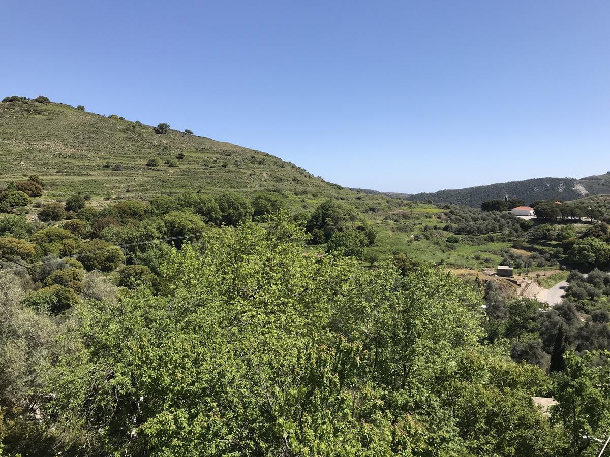 Temenia House Villa Екстериор снимка