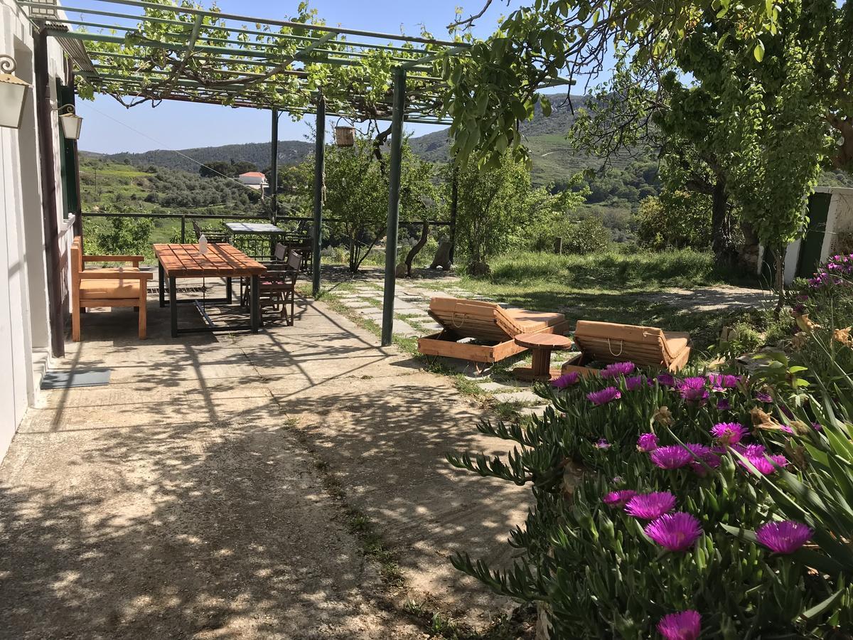 Temenia House Villa Екстериор снимка